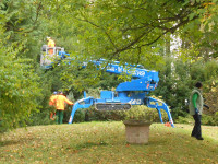 Schwere Technik und fleissige Hände kamen beim Parkseminar zum Einsatz