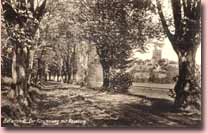 1936/01 - Ballenstedt - Der Fürstenweg mit Roseburg