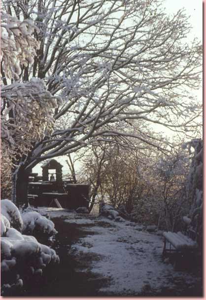 Im Park gesehen in Richtung Glocke und Söller im Eingangsbereich - Winteransicht um 1967